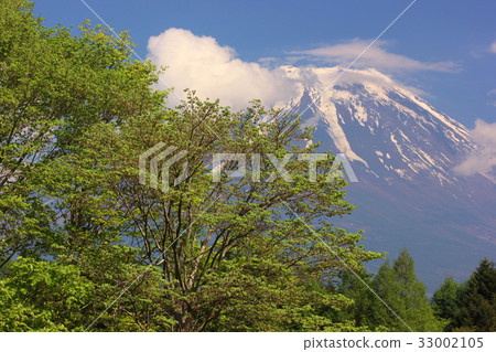 Mt. Fuji from the Shibazakura Festival venue (7) Mt. Fuji from the Shibazakura Festival venue (7) 33002105