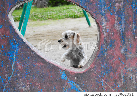 Ah! Be surprised 33002351