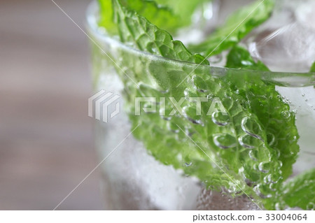 薄荷葉碳酸水 薄荷葉碳酸水 33004064