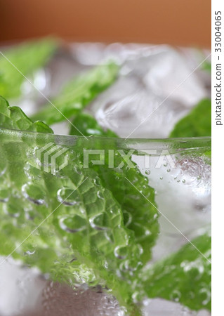 薄荷葉碳酸水 薄荷葉碳酸水 33004065