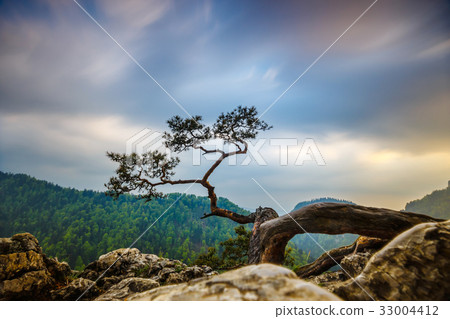 Sokolica peak in Pieniny Mountains Sokolica peak in Pieniny Mountains 33004412