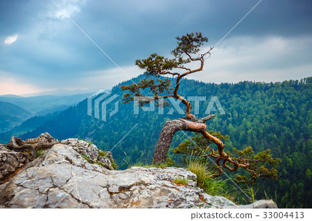 Sokolica peak in Pieniny Mountains 33004413