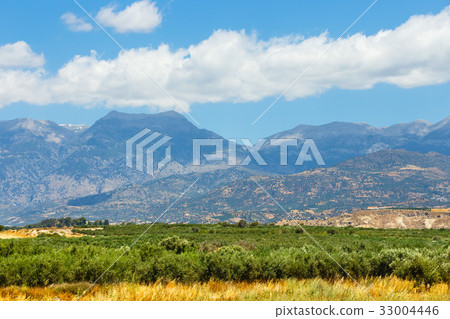 Beautiful mountain landscape with olive plantation 33004446