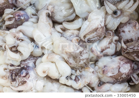 Fresh Squid in market background. Fresh Squid in market background. 33005450