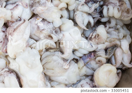 Fresh Squid in market background. 33005451