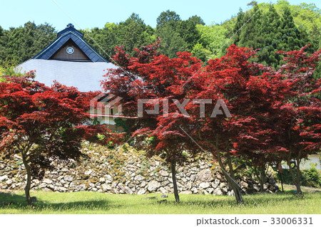 Takuunji寺的野村楓 Takuunji寺的野村楓 33006331