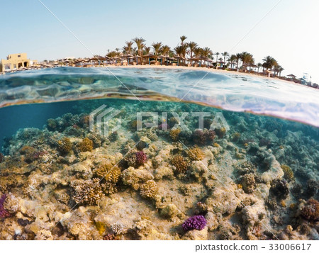 Underwater surface split view of coral fish and resort beach wit Underwater surface split view of coral fish and resort beach wit 33006617