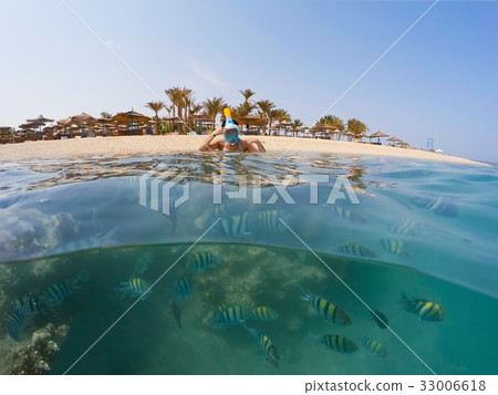 Underwater surface split view of coral fish and resort beach wit Underwater surface split view of coral fish and resort beach wit 33006618