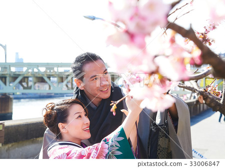 Tourist couple is watching flourish cherry blossom in the park Tourist couple is watching flourish cherry blossom in the park 33006847