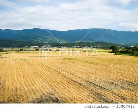 池上風光 33007418