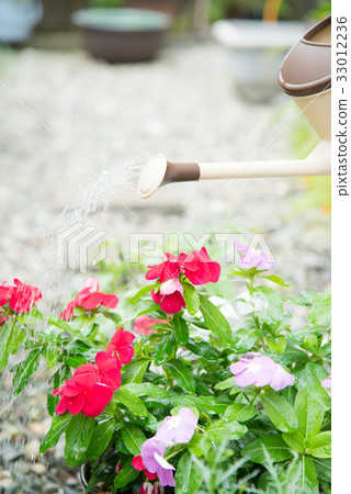 Gardening ladies 33012236