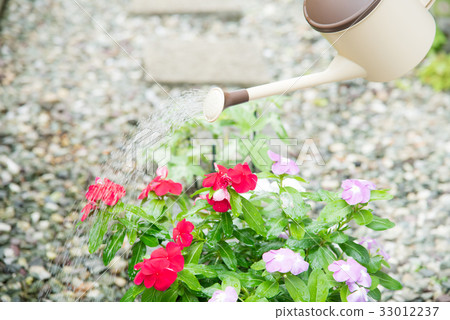 Gardening ladies 33012237