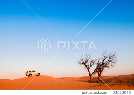 Desert trip, desert safari, dead tree Desert trip, desert safari, dead tree 33013070