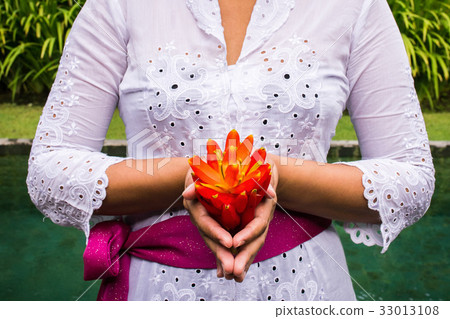 Balinese woman's hands holding ginger flower 33013108