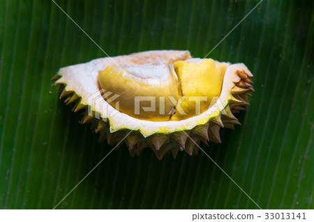 Durain on banana leaf 33013141