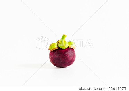 Isolated whole Mangosteen 33013675