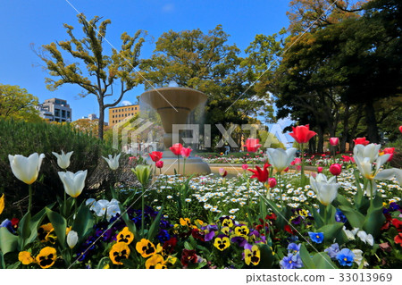 橫濱公園的春天 橫濱公園的春天 33013969