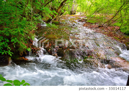 Chokaiyama Shishonosei泥潭 33014117