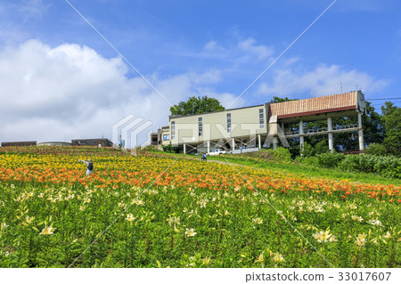 Iwayake Yurien 33017607