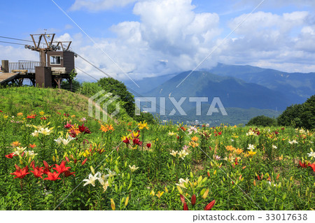 Iwayake Yurien 33017638