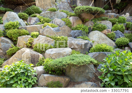 Stone background wall with green plant 33017791