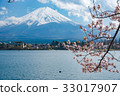 Fuji Sakura 33017907