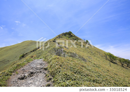 德島縣次郎Uta 德島縣次郎Uta 33018524