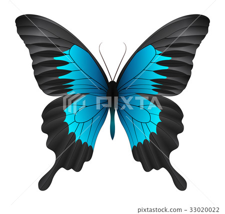 Beautiful butterfly isolated on a white background Beautiful butterfly isolated on a white background 33020022