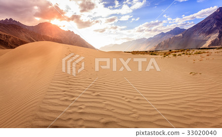 Nubra Valley sand dunes Nubra Valley sand dunes 33020040