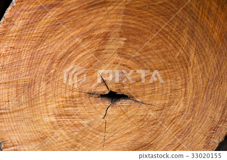 closeup of wooden logs, wood texture 33020155