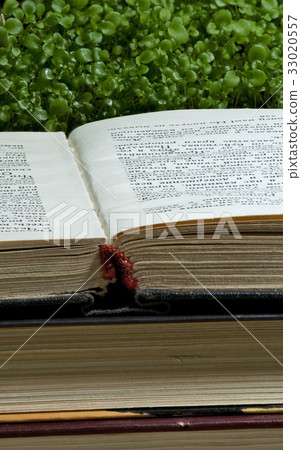Reading books source of knowledge 33020557