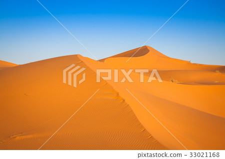 Sand Dunes in the Sahara Desert, Merzouga, Morocco 33021168