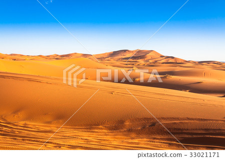 Sand Dunes in the Sahara Desert, Merzouga, Morocco 33021171