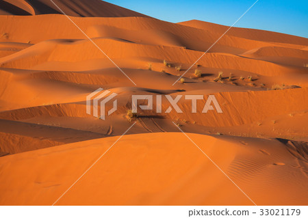 Sand Dunes in the Sahara Desert, Merzouga, Morocco Sand Dunes in the Sahara Desert, Merzouga, Morocco 33021179