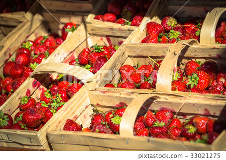 many fresh red strawberries in a wooden basket 33021275