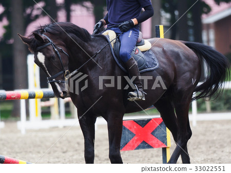 薩拉·布雷特 33022551