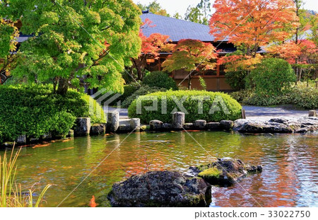 秋葉日本庭院 秋葉日本庭院 33022750