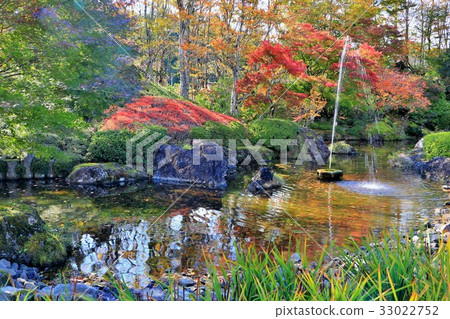 Japanese garden of autumn leaves Japanese garden of autumn leaves 33022752