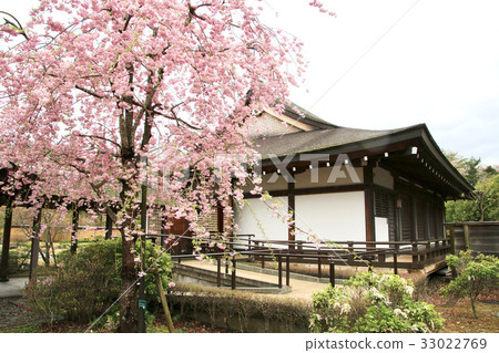 Nakoso's Seki Park, Fubukiden (Iwaki City) Nakoso's Seki Park, Fubukiden (Iwaki City) 33022769