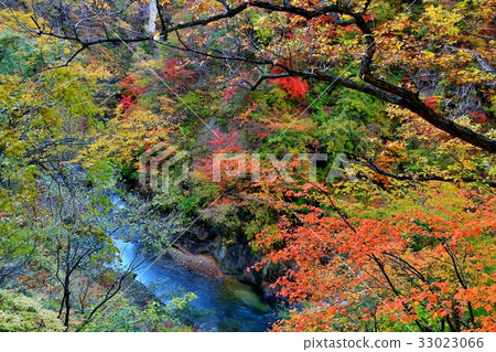 Naruko Township of autumn leaves Naruko Township of autumn leaves 33023066
