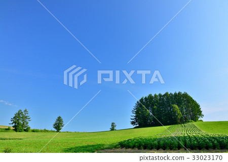 Biei no Oka 33023170