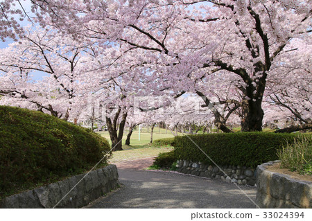 Kaiyama Park(郡山市) Kaiyama Park(郡山市) 33024394