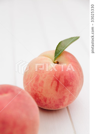 國內桃子樺樹白色背景 33025330