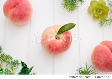 國內桃子樺樹白色背景 33025334