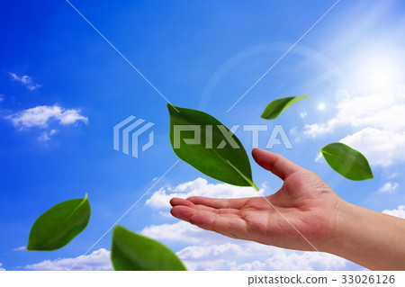 Ecology Concept Background 33026126