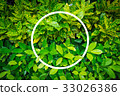 Green leaf texture background 33026386