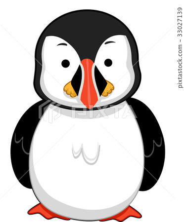 Colorful Puffin Bird 33027139