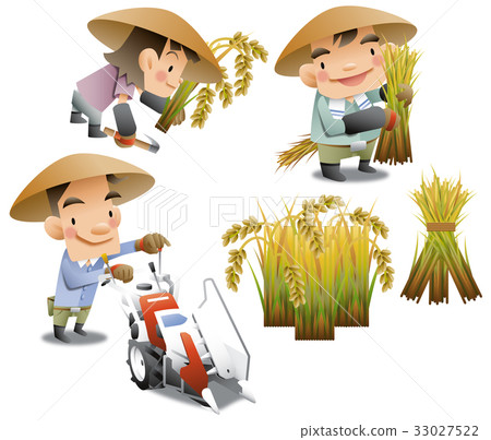 Rice reaping 33027522