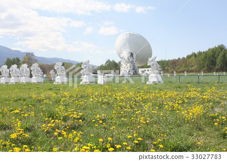 An antenna for observation of space radio waves installed at the observatory on the Nobeyama Plateau in Nagano Prefecture, where the yellow flowers of dandelion bloom An antenna for observation of space radio waves installed at the observatory on the Nobeyama Plateau in Nagano Prefecture, where the yellow flowers of dandelion bloom 33027783