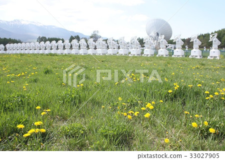 An antenna for observation of space radio waves installed at the observatory on the Nobeyama Plateau in Nagano Prefecture, where the yellow flowers of dandelion bloom An antenna for observation of space radio waves installed at the observatory on the Nobeyama Plateau in Nagano Prefecture, where the yellow flowers of dandelion bloom 33027905
